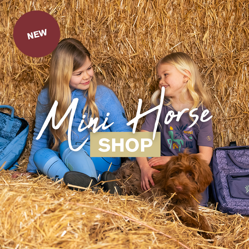 Mini Horse
